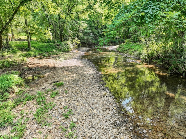 357 Providence Rd, Pulaski, TN 38478 - view of street featuring a forest view