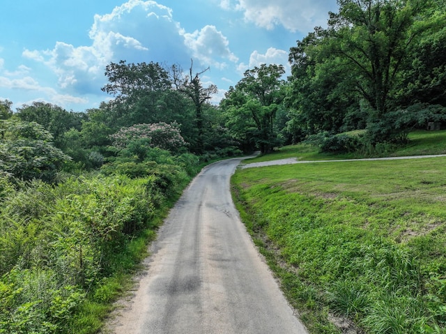 357 Providence Rd, Pulaski, TN 38478 - view of asphalt street featuring a wooded view