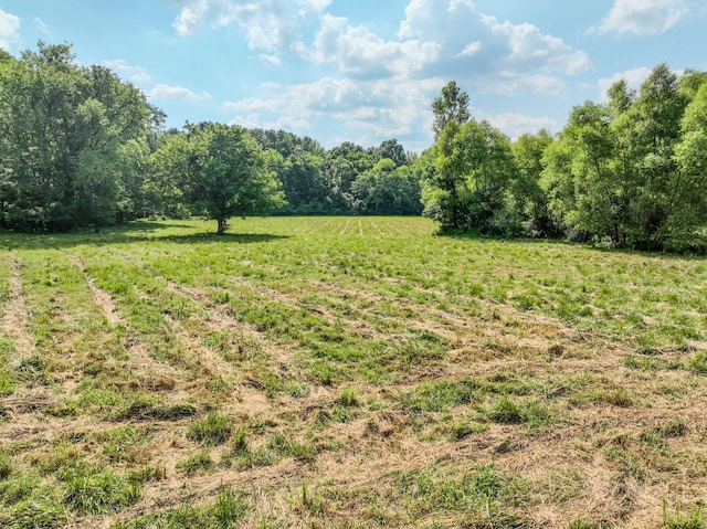 357 Providence Rd, Pulaski, TN 38478 - view of yard featuring a rural view