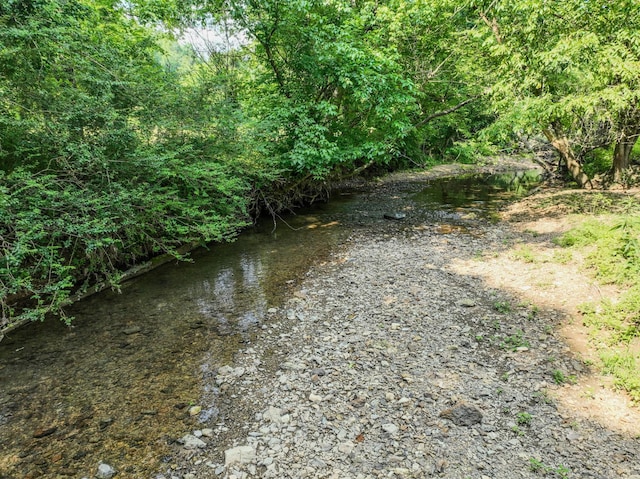 357 Providence Rd, Pulaski, TN 38478 - view of yard