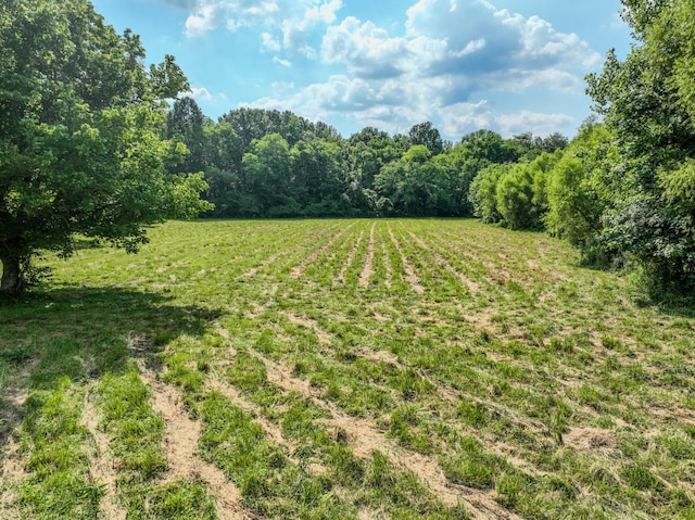 357 Providence Rd, Pulaski, TN 38478 - view of yard with a view of countryside