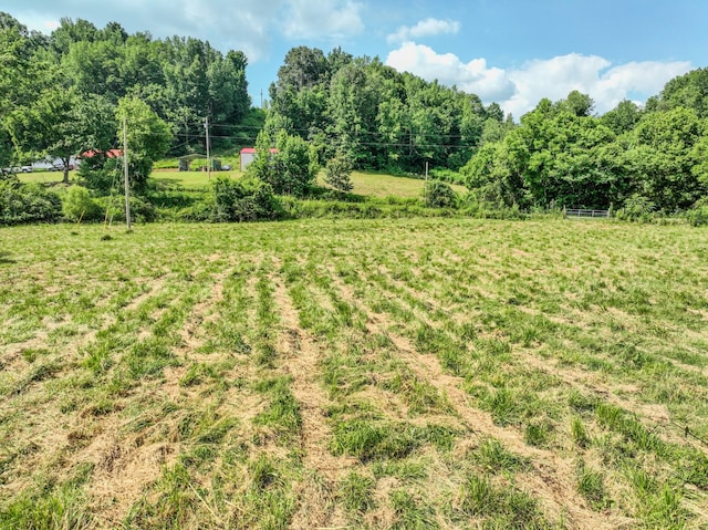 357 Providence Rd, Pulaski, TN 38478 - view of yard with a rural view