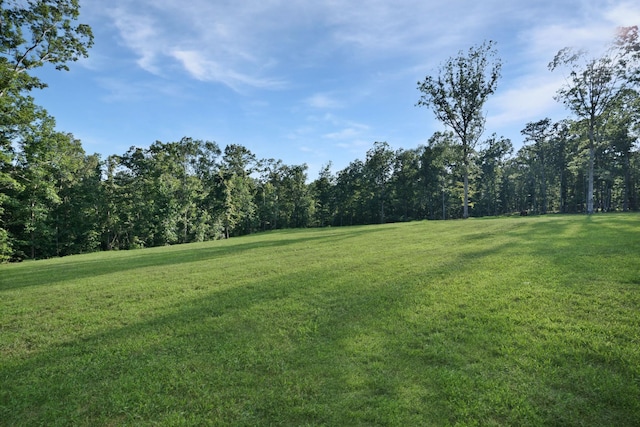 1779 Mount Zion Rd, Big Sandy, TN 38221 - photo 30