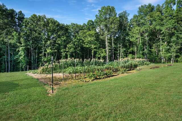 1779 Mount Zion Rd, Big Sandy, TN 38221 - photo 29