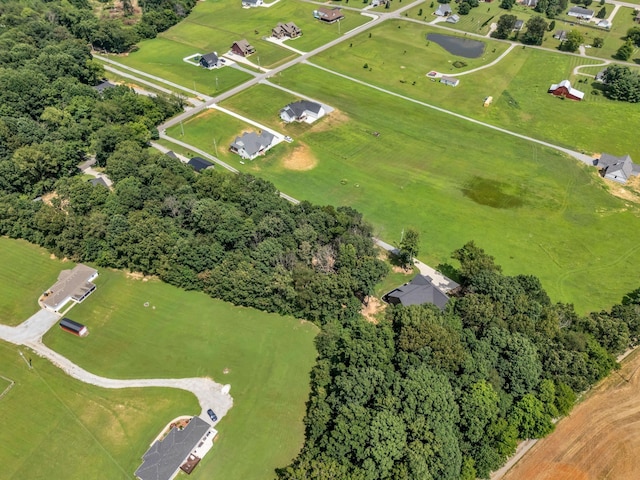 8921 Cedar Grove Rd, Cross Plains, TN 37049 - photo 49