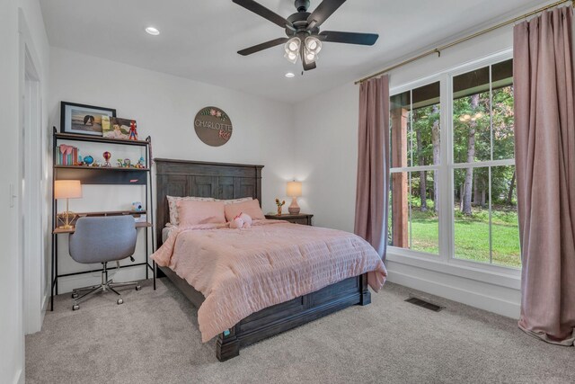 8921 Cedar Grove Rd, Cross Plains, TN 37049 - photo 31