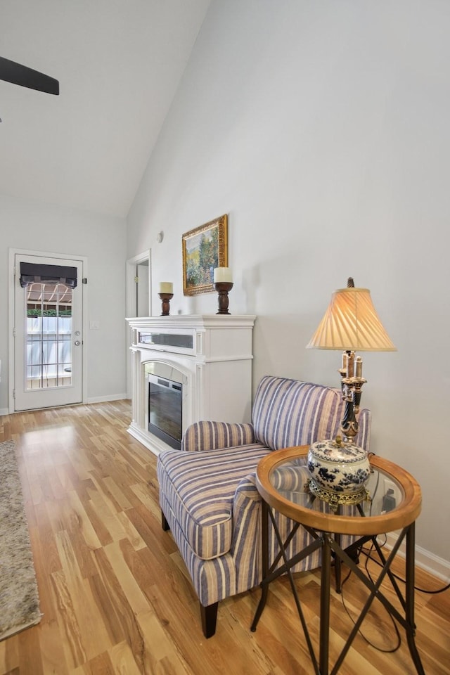 4858 Chelanie Cir, Murfreesboro, TN 37129 - living area with high vaulted ceiling, light wood-type flooring, and a glass covered fireplace