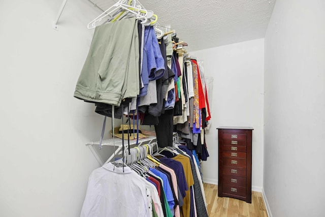 4858 Chelanie Cir, Murfreesboro, TN 37129 - spacious closet featuring wood finished floors