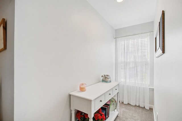 4858 Chelanie Cir, Murfreesboro, TN 37129 - detailed view of carpet and baseboards