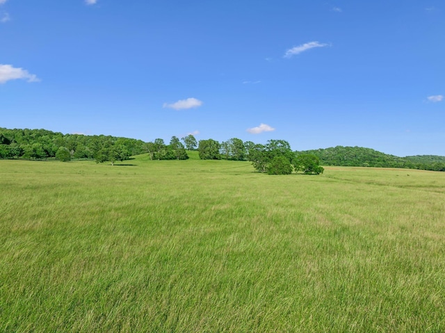 3201 Carl Rd, Franklin, TN 37064 - photo 17