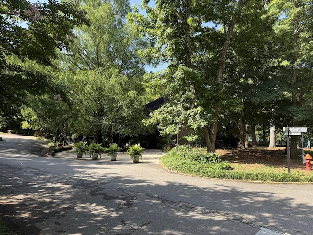 306 Chimney Hl, Nashville, TN 37221 - photo 37