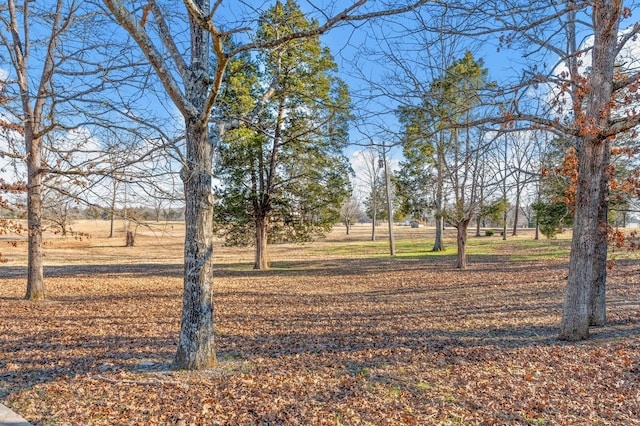 910 Corinth Rd, Mount Juliet, TN 37122 - photo 43