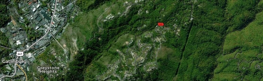 0 Twin Oaks Rd, Gatlinburg,, Gatlinburg, TN 37738 - photo 2