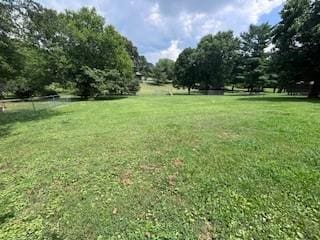 1246 Imperial Dr, Columbia, TN 38401 - view of grassy yard