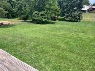 1246 Imperial Dr, Columbia, TN 38401 - view of grassy yard