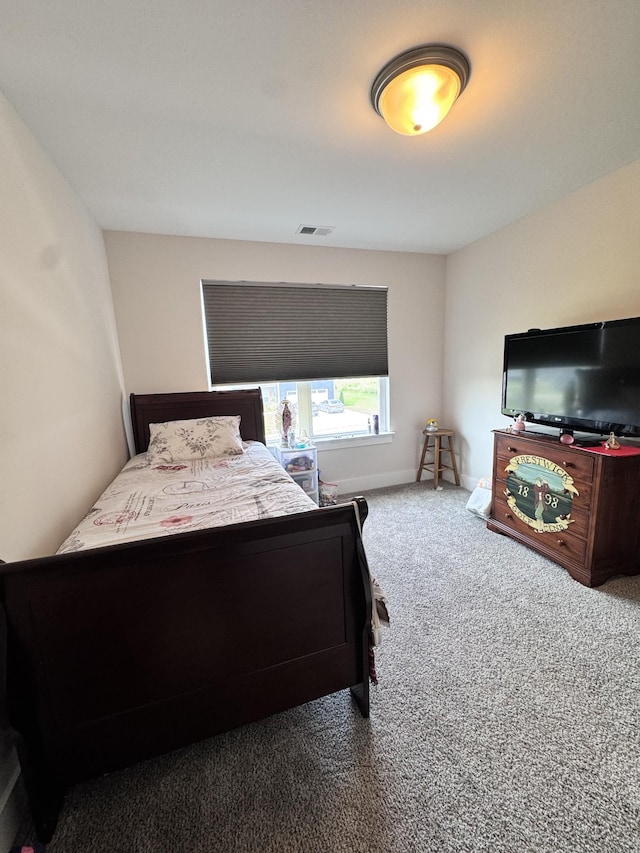 108 Thoroughbred Blvd, Shelbyville, TN 37160 - photo 29