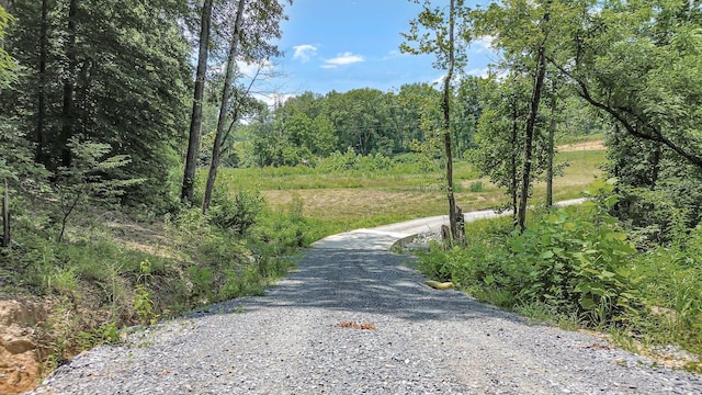 1268 S Tidwell Rd, Bon Aqua, TN 37025 - view of street with a view of trees