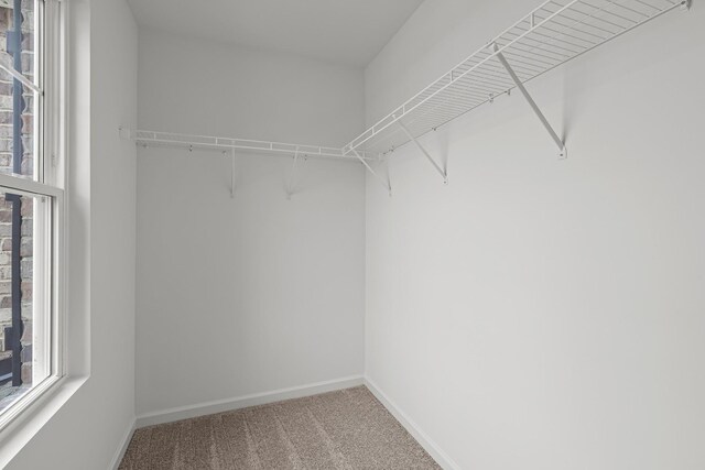 2900 Suzanne Landon Dr Unit E2, Murfreesboro, TN 37130 - spacious closet featuring carpet floors