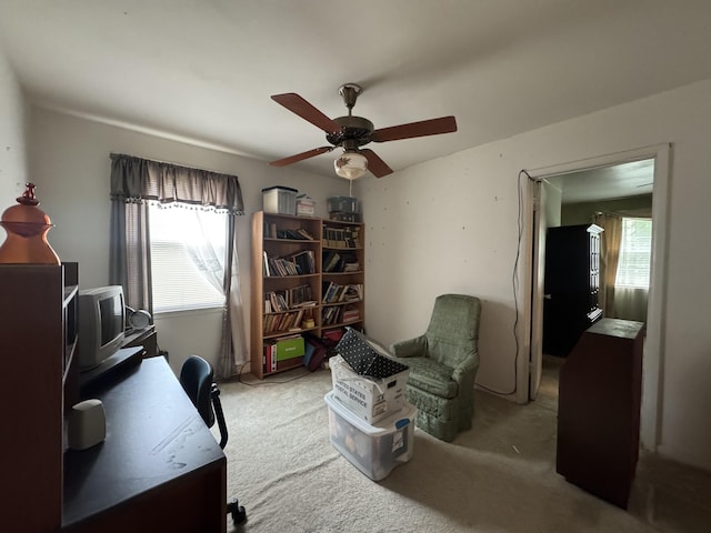 2605 Deerfield Dr, Nashville, TN 37208 - photo 12