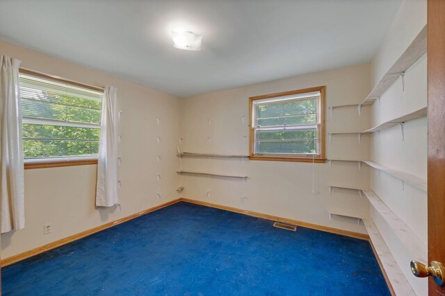 317 Willard Dr, Nashville, TN 37211 - photo 15
