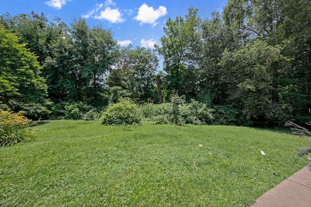 317 Willard Dr, Nashville, TN 37211 - photo 9