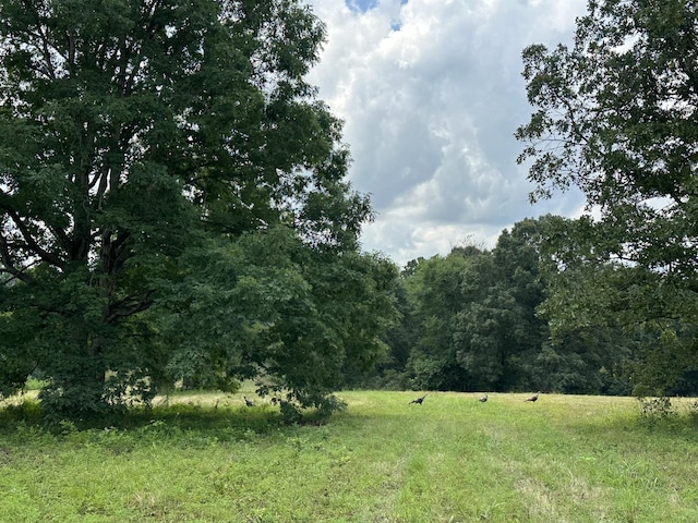 0 Darrell Rye Rd, Erin, TN 37061