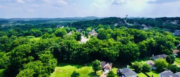 1214 Jennings Dr, Nolensville, TN 37135 - photo 53