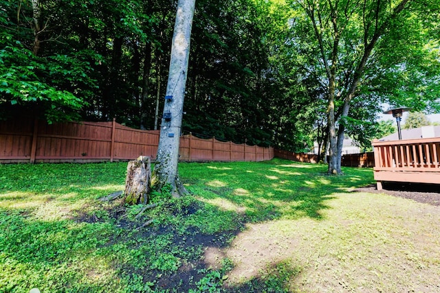 1214 Jennings Dr, Nolensville, TN 37135 - photo 49