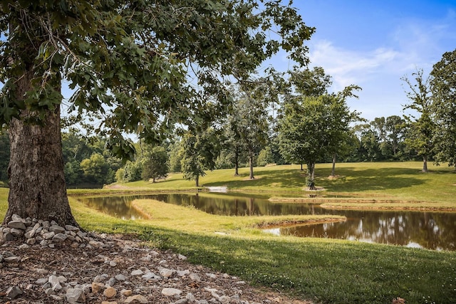 3510 Bybee Branch Rd, Mcminnville, TN 37110 - view of property's community featuring a water view and a lawn