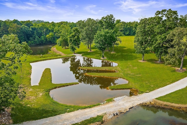 3510 Bybee Branch Rd, Mcminnville, TN 37110 - view of community with a water view