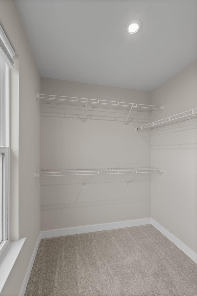 258 Dartmoor Pl, Goodlettsville, TN 37072 - walk in closet featuring carpet floors