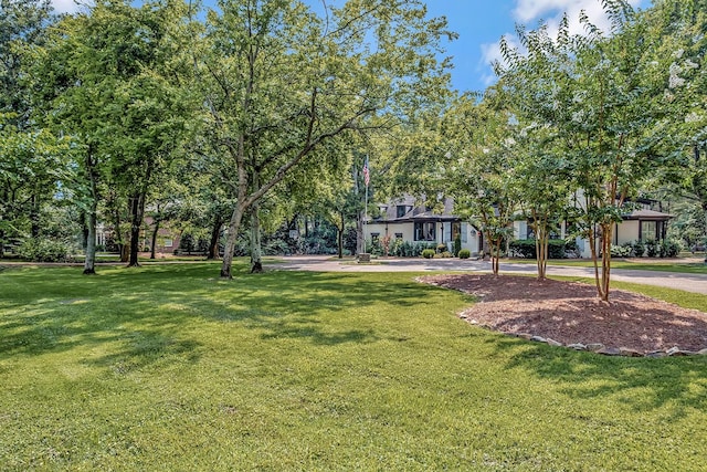 709 Lynnwood Blvd, Nashville, TN 37205 - photo 2