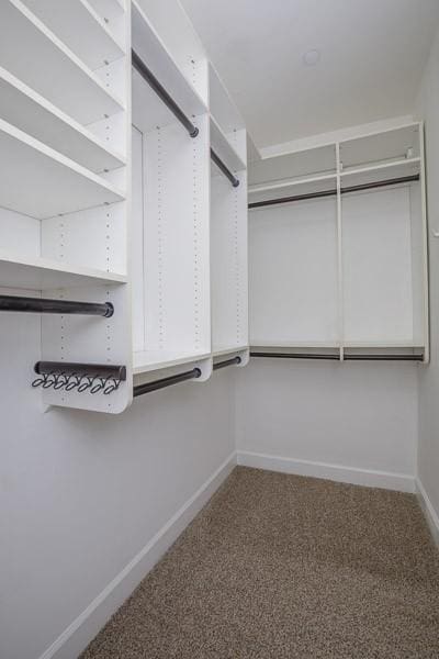 991 Westhaven Blvd Unit 32, Franklin, TN 37064 - walk in closet with carpet flooring