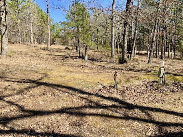 7905 Lick Creek Rd, Big Sandy, TN 38221 - photo 29