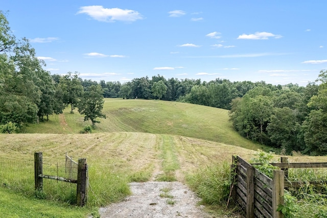 540 Powell Hollow Rd, Tullahoma, TN 37388 - view of yard with a rural view