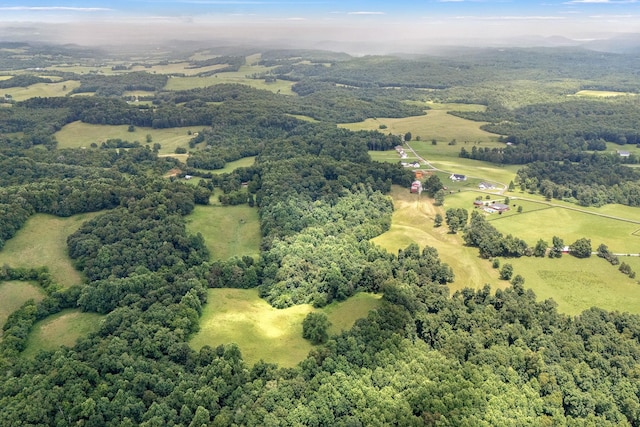 540 Powell Hollow Rd, Tullahoma, TN 37388 - bird's eye view of a forest