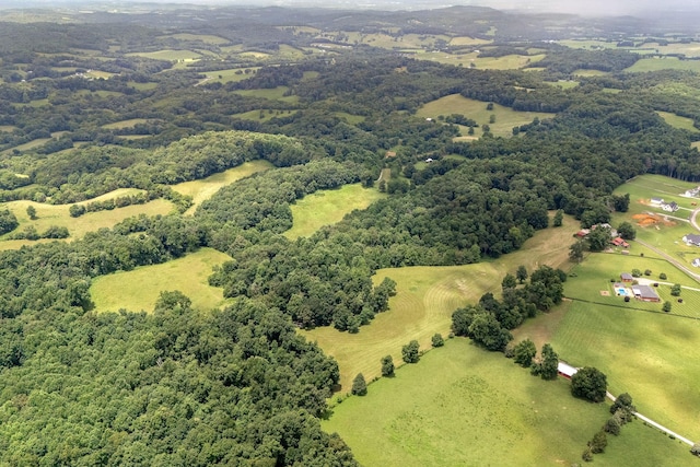 540 Powell Hollow Rd, Tullahoma, TN 37388 - aerial view of a forest