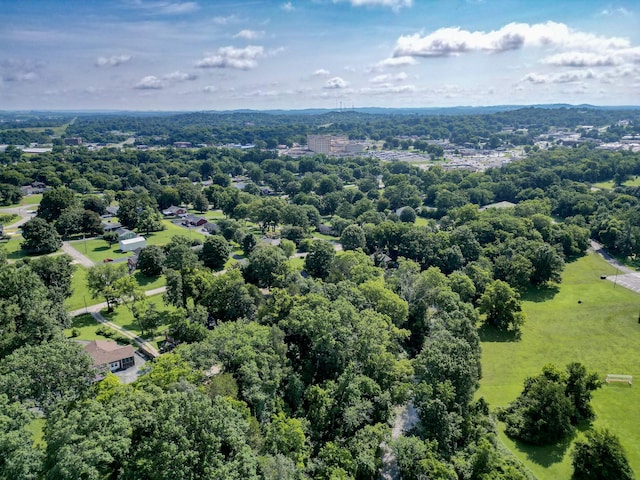 209 Woods Dr, Columbia, TN 38401 - photo 41