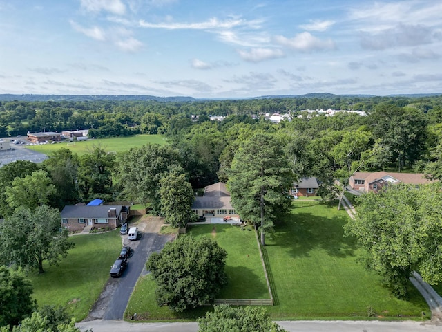 209 Woods Dr, Columbia, TN 38401 - photo 42