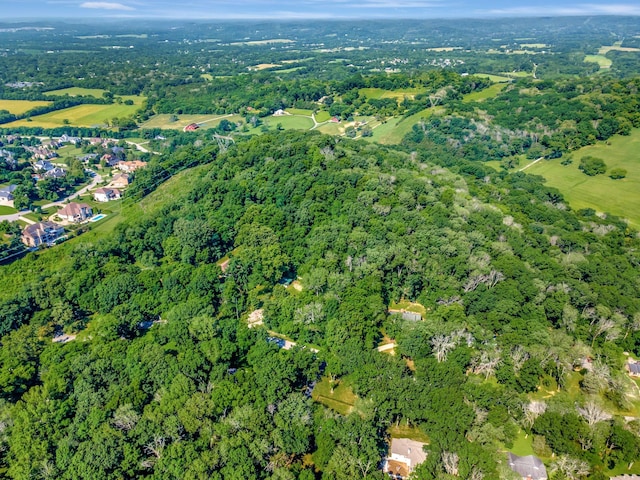 134 Featherstone Dr, Franklin, TN 37069 - photo 9