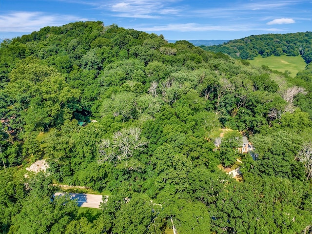 134 Featherstone Dr, Franklin, TN 37069 - photo 3