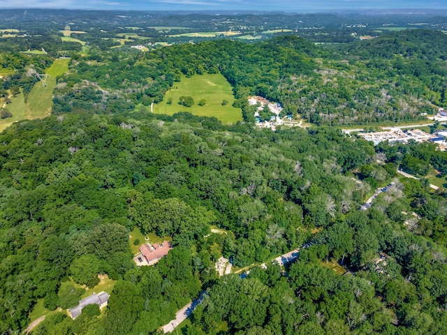 134 Featherstone Dr, Franklin, TN 37069 - photo 10
