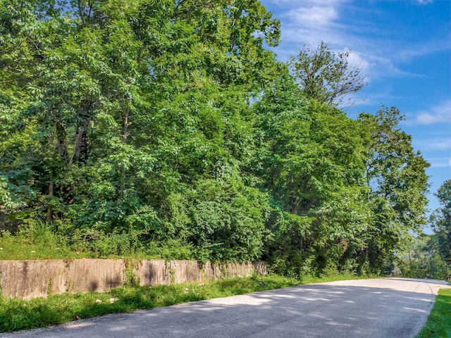 134 Featherstone Dr, Franklin, TN 37069 - photo 2