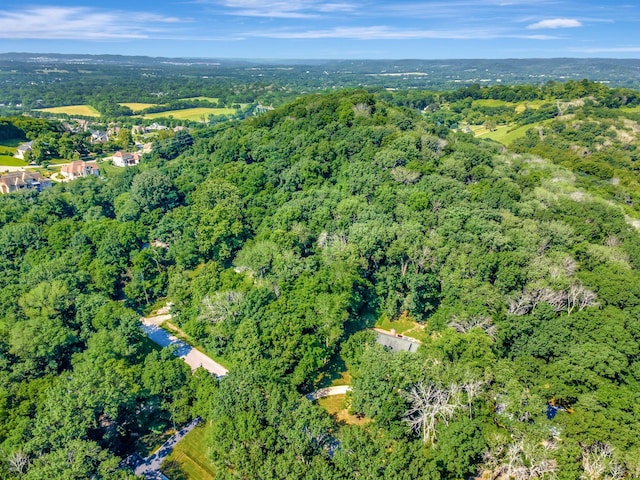 134 Featherstone Dr, Franklin, TN 37069 - photo 5