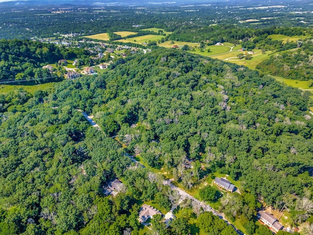 134 Featherstone Dr, Franklin, TN 37069 - photo 8