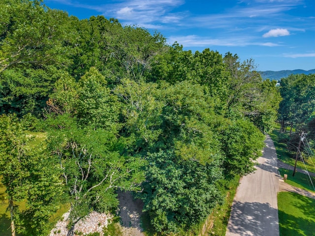 134 Featherstone Dr, Franklin, TN 37069 - photo 16
