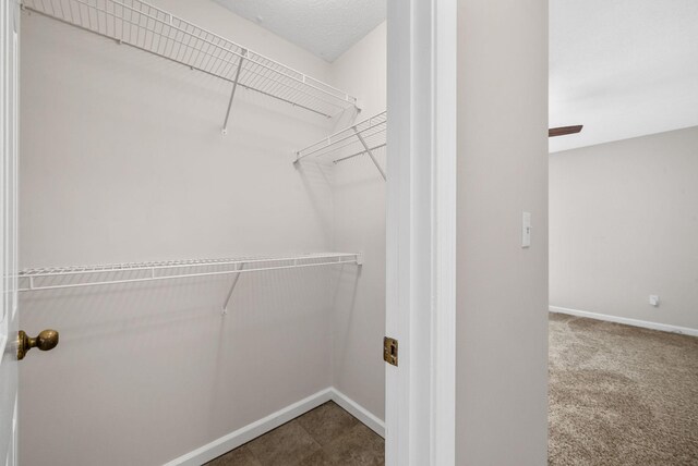529 Southwind Dr, Hopkinsville, KY 42240 - view of spacious closet