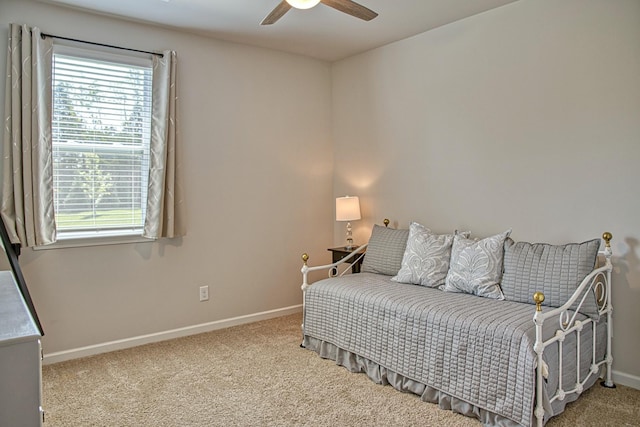 319 Greymoor Ln NE, Cookeville, TN 38501 - photo 28