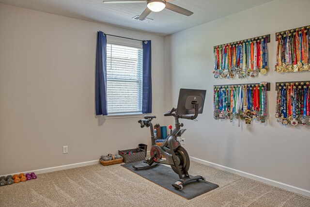 319 Greymoor Ln NE, Cookeville, TN 38501 - photo 29