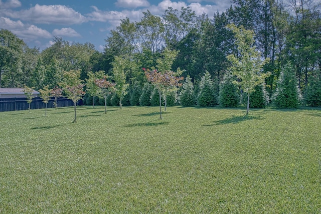 319 Greymoor Ln NE, Cookeville, TN 38501 - photo 41